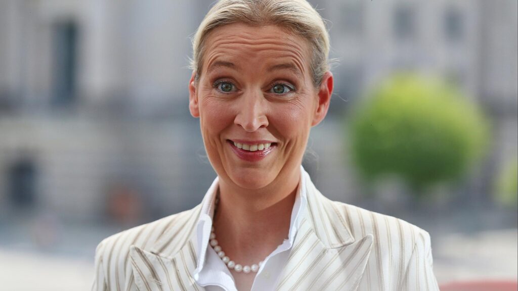 Alice Weidel am 20.07.2025