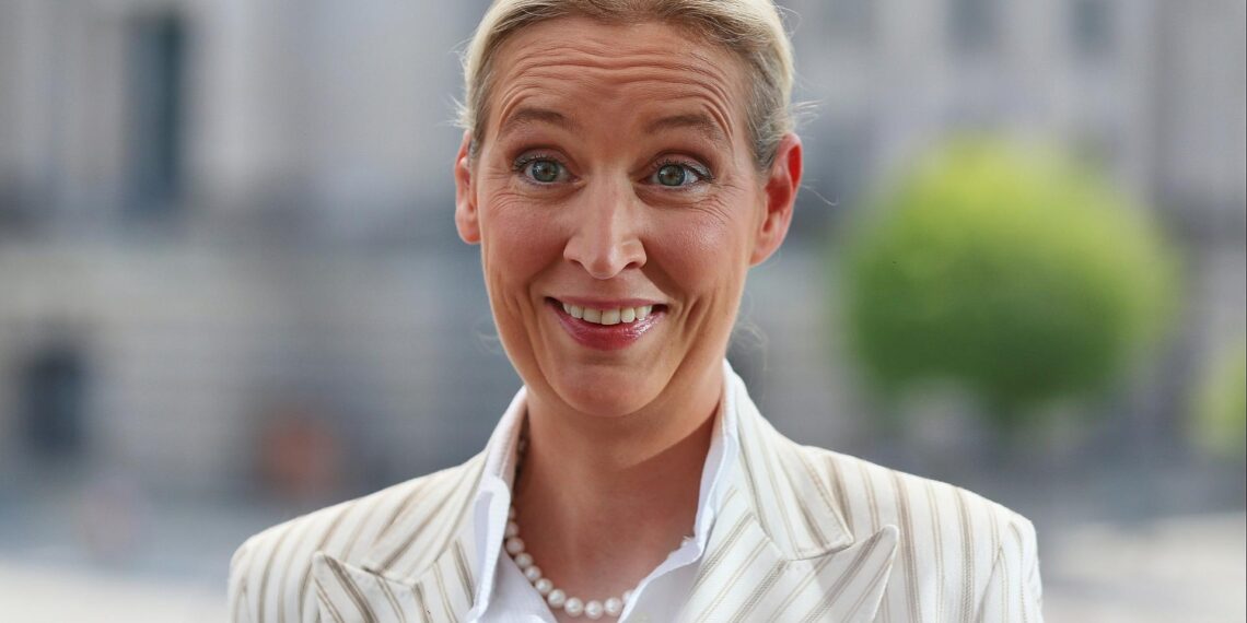 Alice Weidel am 20.07.2025