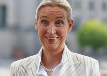 Alice Weidel am 20.07.2025