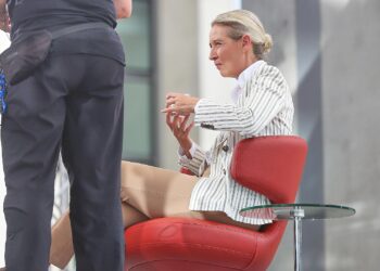Alice Weidel am 20.07.2025