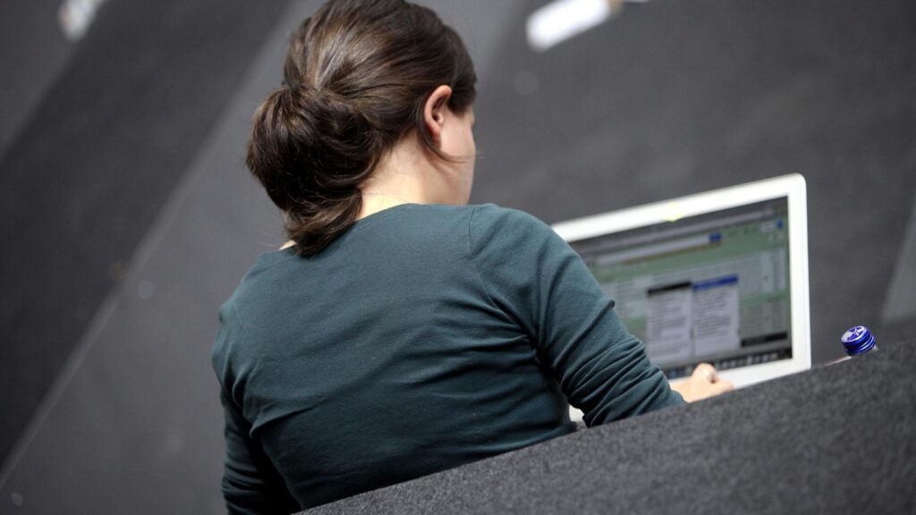 Computer-Nutzerin (Archiv)