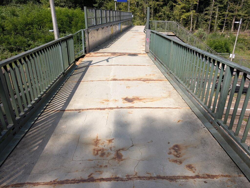 PXL 20250813 101036557.RAW 01.COVER