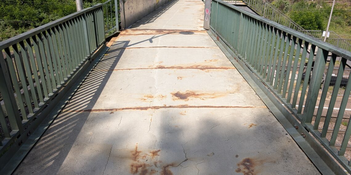 PXL 20250813 101036557.RAW 01.COVER