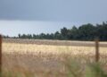 Unwetter (Archiv)