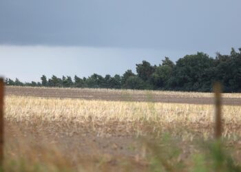 Unwetter (Archiv)