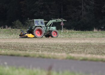Bauer auf Traktor (Archiv)