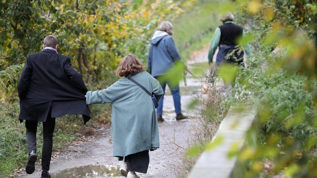 Leute gehen Spazieren (Archiv)