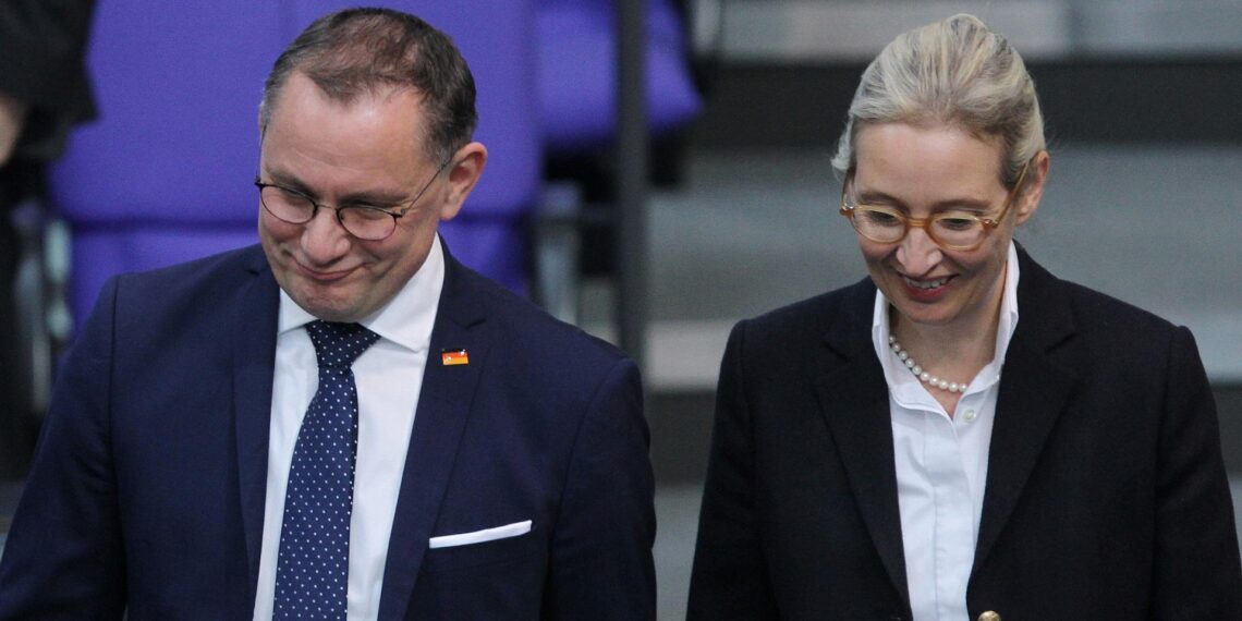 Tino Chrupalla und Alice Weidel (Archiv)