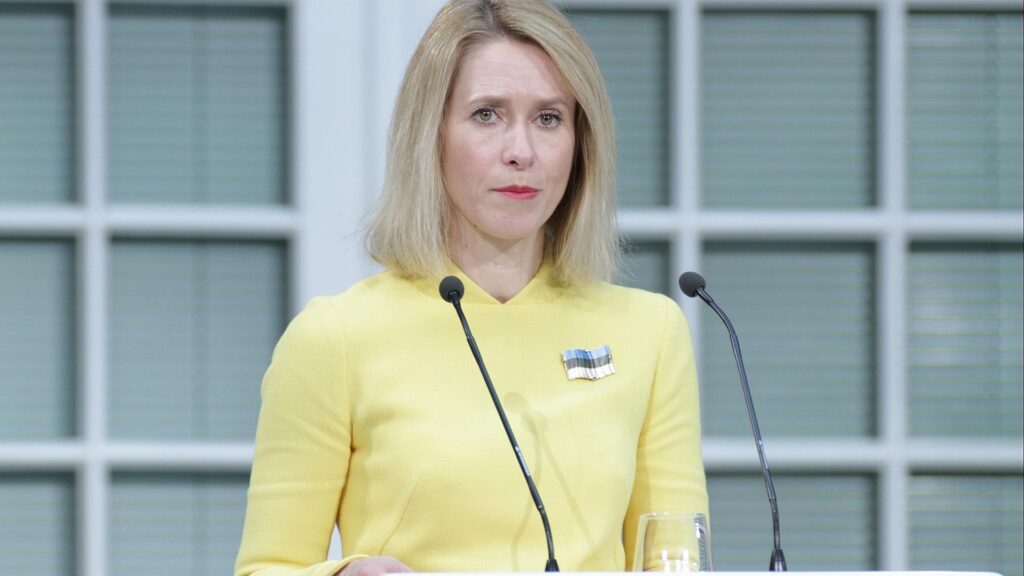 Kaja Kallas (Archiv)