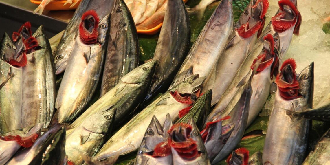 Fische (Archiv)