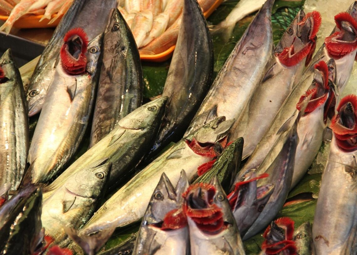 Fische (Archiv)