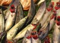 Fische (Archiv)