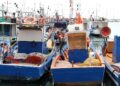 Schiffe in einem Hafen (Archiv)