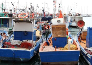 Schiffe in einem Hafen (Archiv)