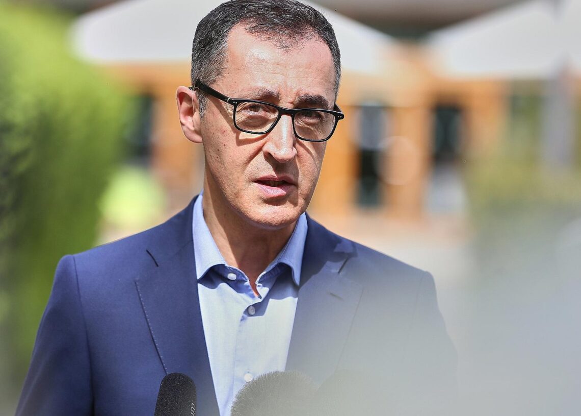Cem Özdemir (Archiv)