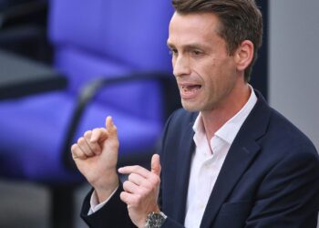 Andreas Audretsch (Archiv)