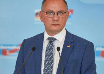 Tino Chrupalla (Archiv)