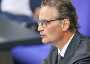 Günter Krings (Archiv)