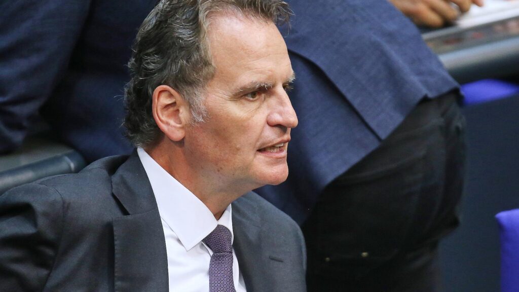 Günter Krings (Archiv)