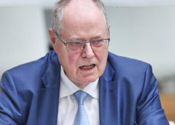 Peer Steinbrück (Archiv)