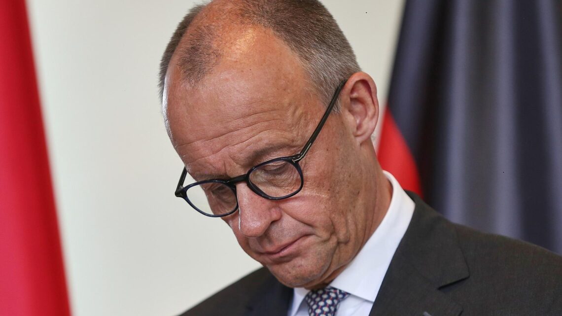 Friedrich Merz (Archiv)