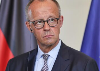 Friedrich Merz (Archiv)