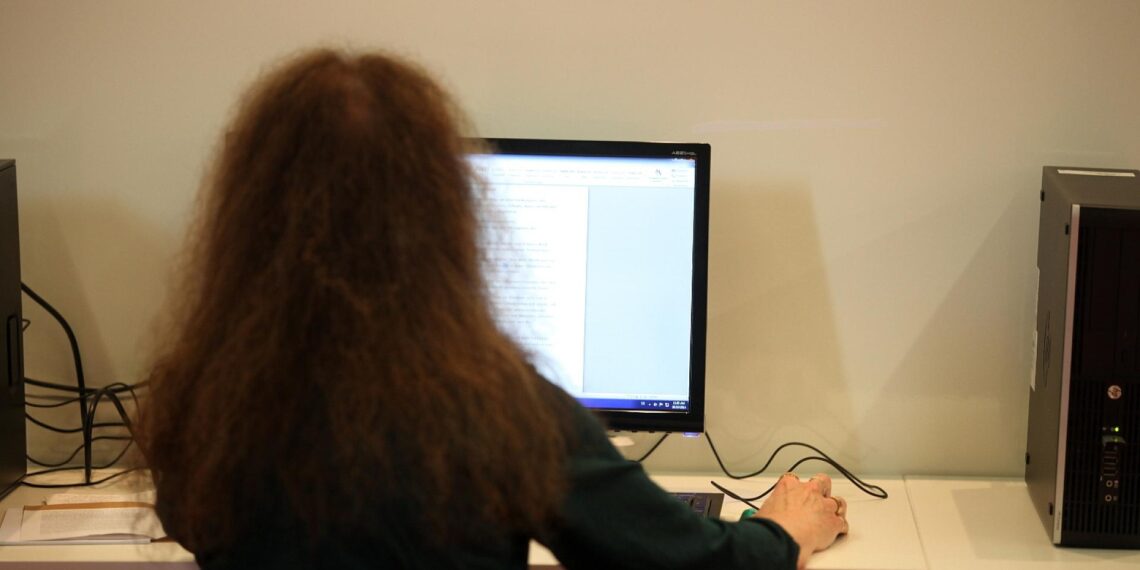 Computer-Nutzerin (Archiv)