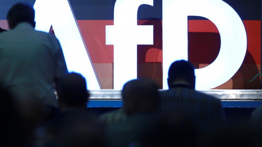 Logo auf AfD-Parteitag (Archiv)