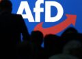 Logo auf AfD-Parteitag (Archiv)