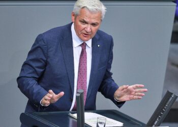 Hubert Hüppe (Archiv)