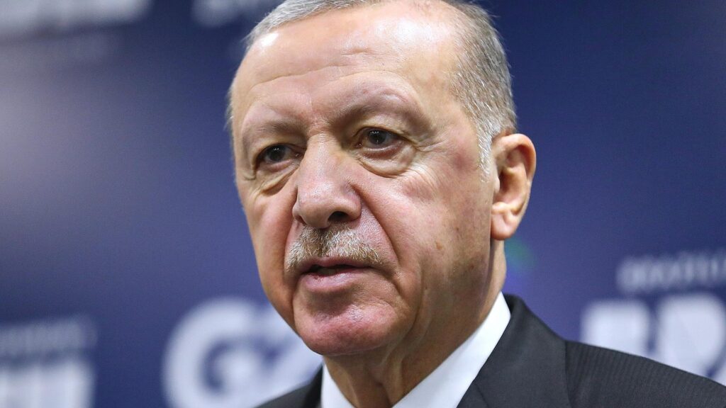 Recep Tayyip Erdogan (Archiv)