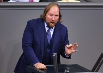 Anton Hofreiter (Archiv)