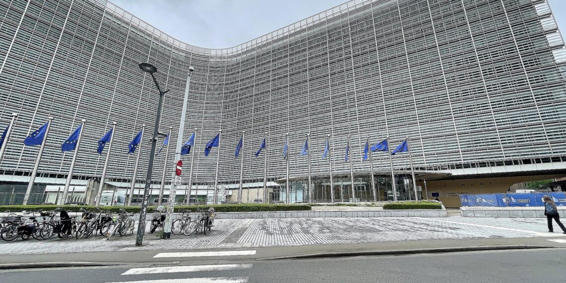EU-Fahnen (Archiv)