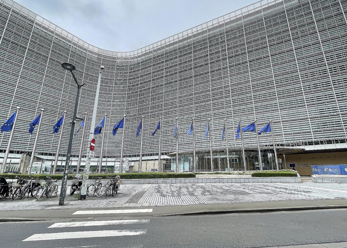 EU-Fahnen (Archiv)