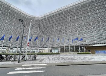 EU-Fahnen (Archiv)