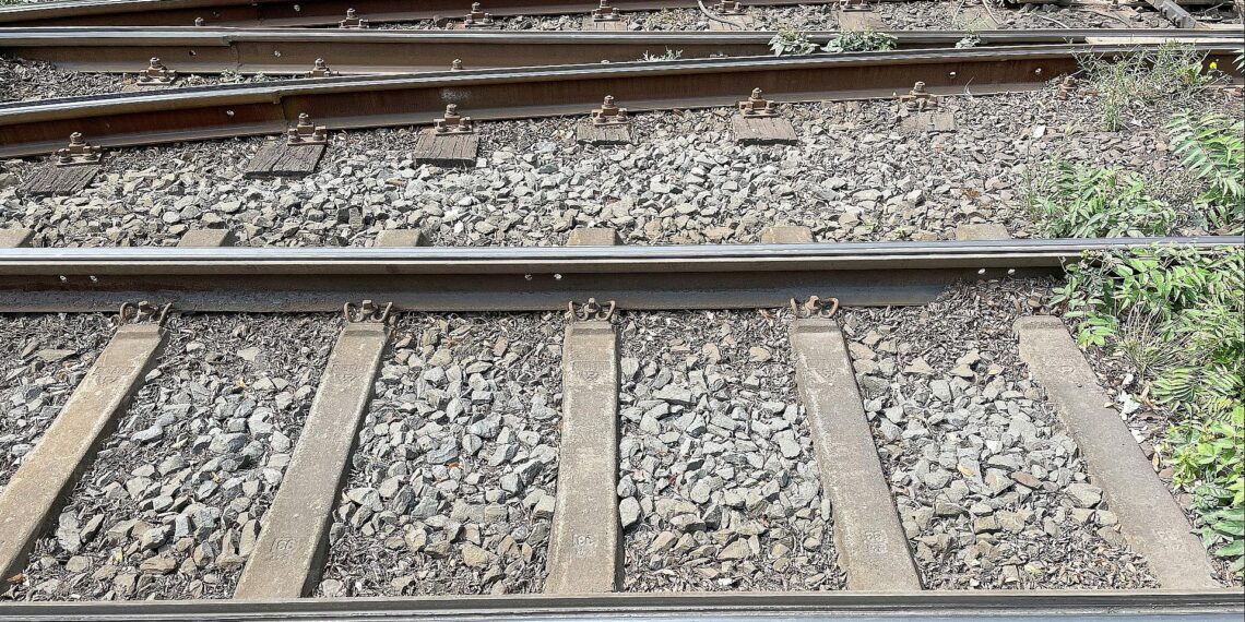 Pro Schiene: Bahnstrategie soll auf Rendite durchs Netz verzichten 1 Schienen (Archiv)