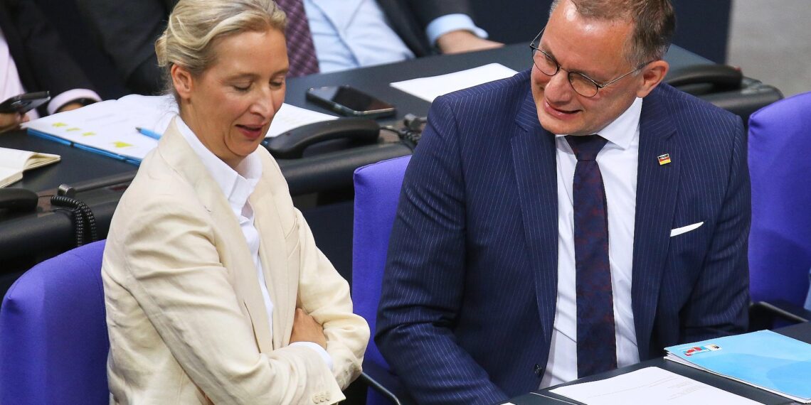 Alice Weidel und Tino Chrupalla (Archiv)