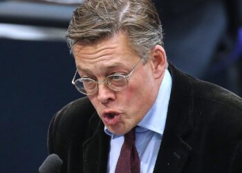 Konstantin von Notz (Archiv)