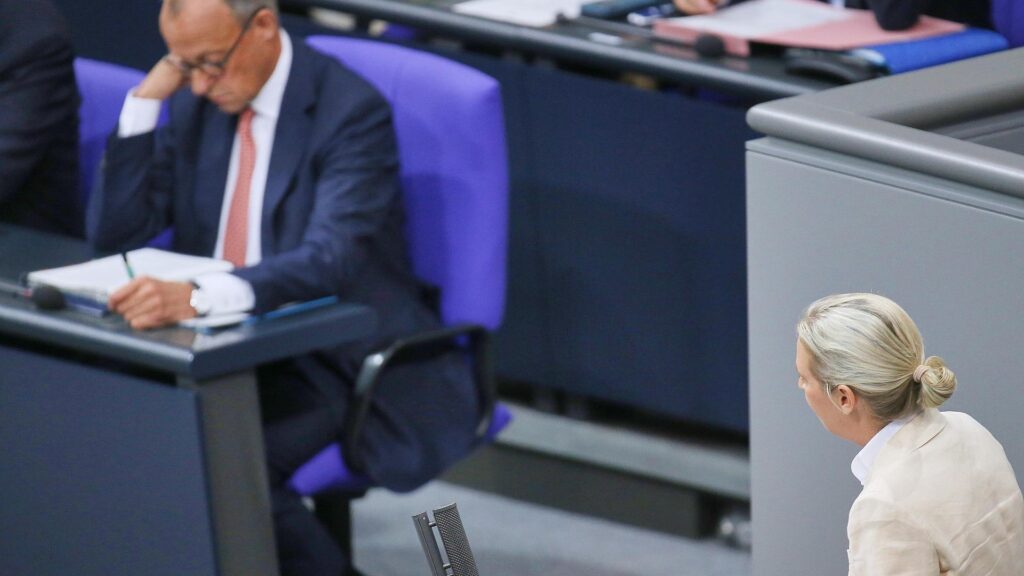 Friedrich Merz und Alice Weidel (Archiv)