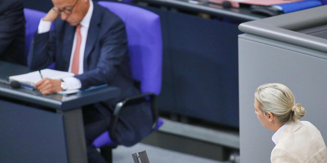 Friedrich Merz und Alice Weidel (Archiv)