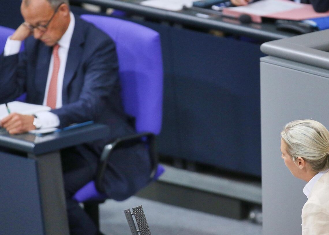 Friedrich Merz und Alice Weidel (Archiv)
