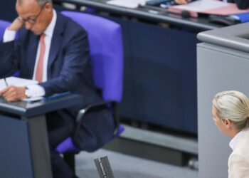 Friedrich Merz und Alice Weidel (Archiv)
