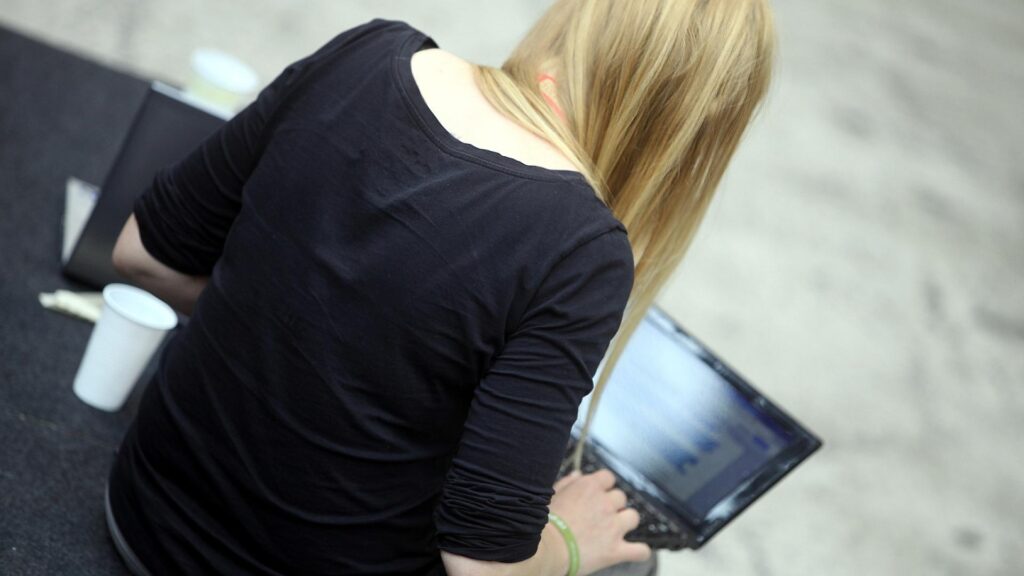 Computer-Nutzerin (Archiv)