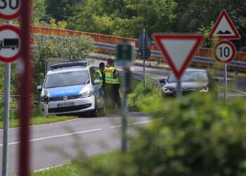 Verkehrskontrolle an der Grenze zu Polen (Archiv)