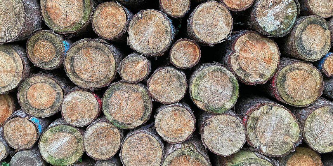 Holzstämme (Archiv)