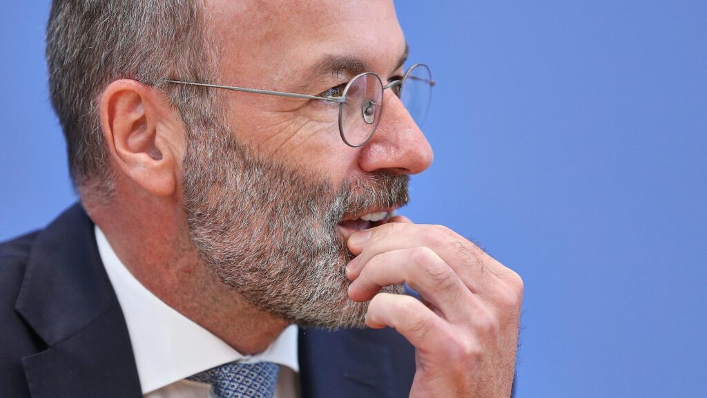 Manfred Weber (Archiv)