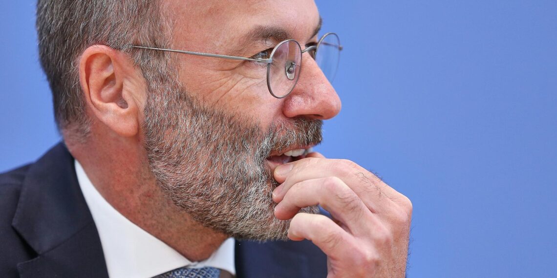 Manfred Weber (Archiv)