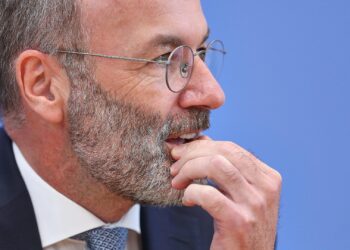 Manfred Weber (Archiv)