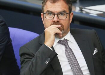 Florian Hahn (Archiv)