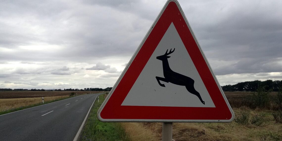 Warnschild vor Wildwechsel (Archiv)